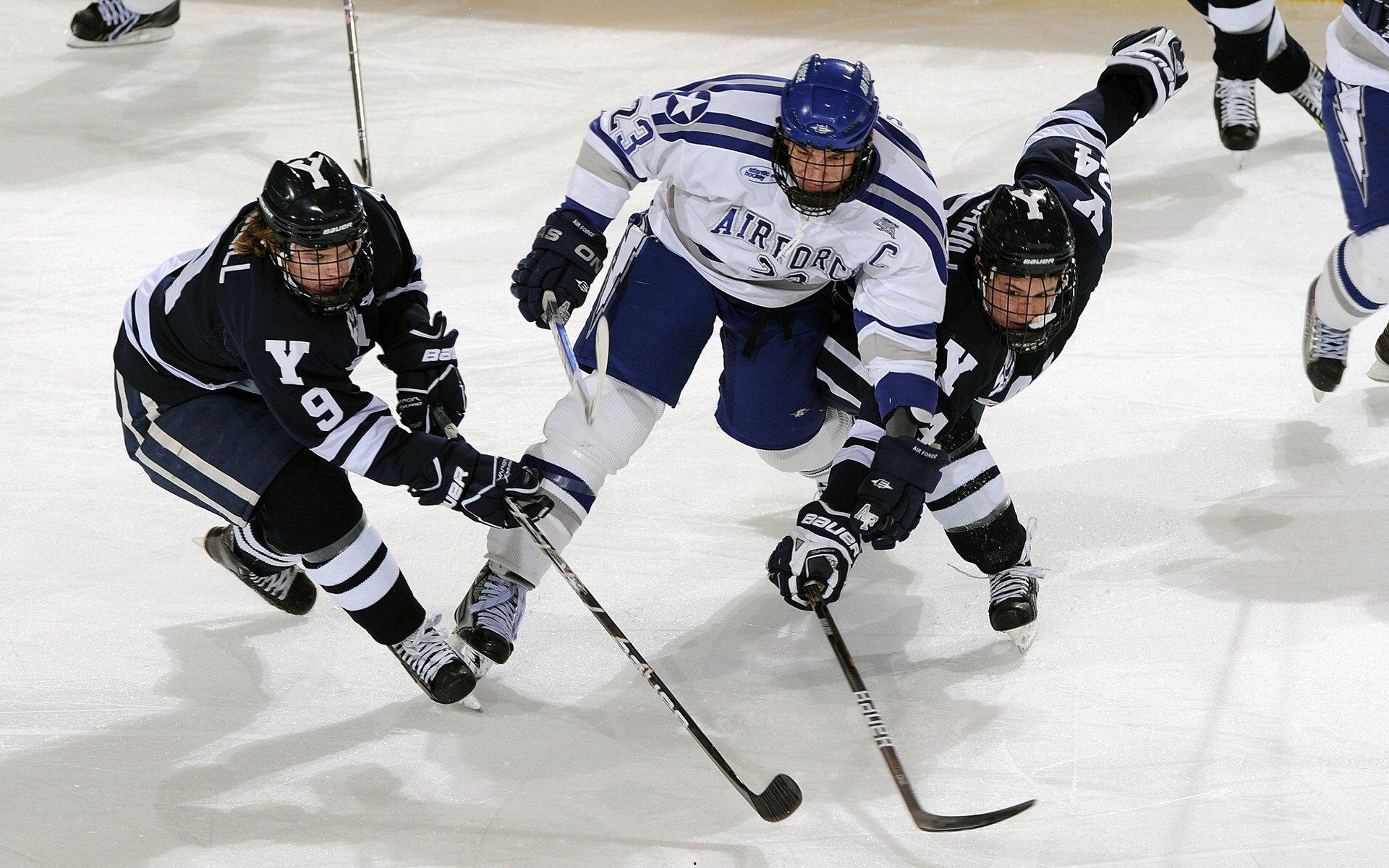 世界女足日，平等是我们的颜色，绿茵场上绽放的多元光芒